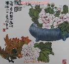 芙蓉天竺